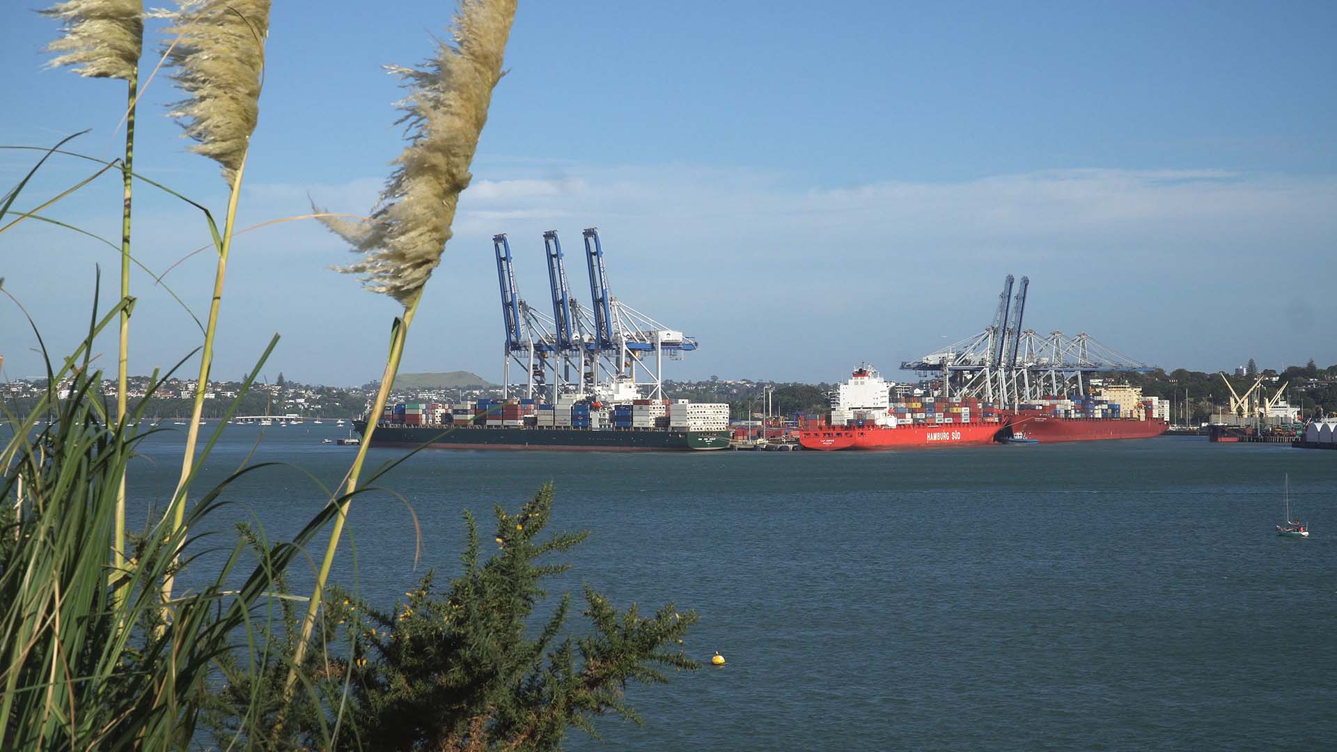 Cap Jervis